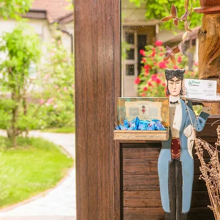 Guest house Pensiunea La Despani