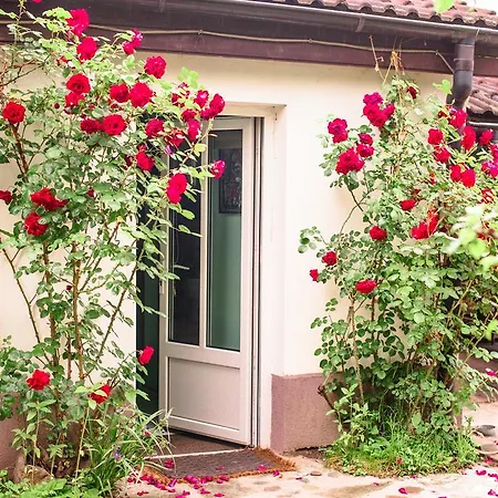 Pensiunea La Despani Vendégház