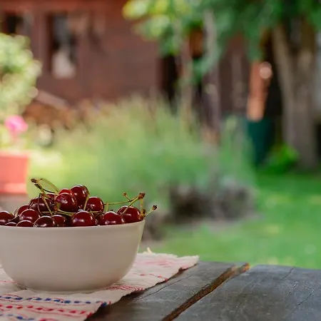 Vendégház Pensiunea La Despani