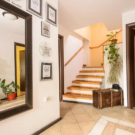 Pensiunea La Despani Guest house Brasov