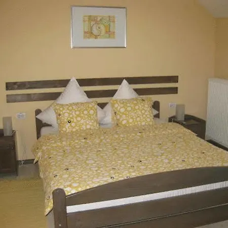 Guest house Pensiunea La Despani 3*