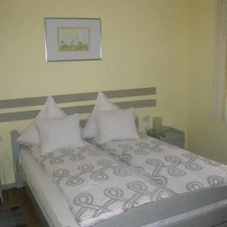 Pensiunea La Despani Guest house 3*