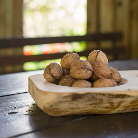 Pensiunea La Despani Brassó