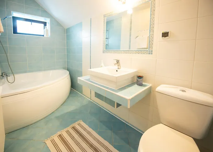 Pensiunea La Despani 3* Brasov