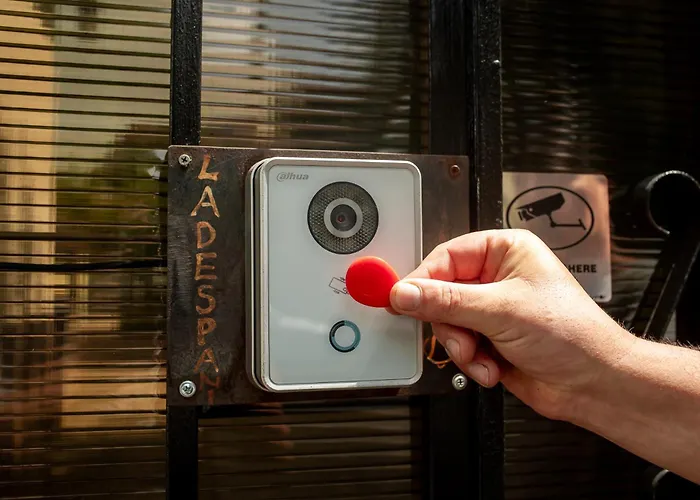 Guest house Pensiunea La Despani