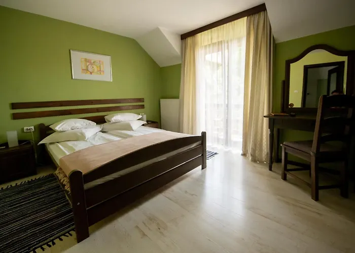 Guest house Pensiunea La Despani Brasov