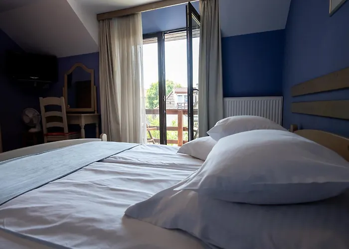 Pensiunea La Despani Brasov