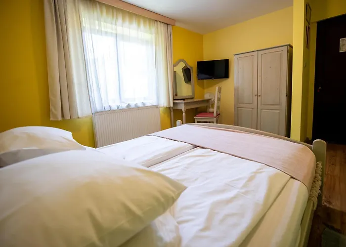 Guest house Pensiunea La Despani Brasov