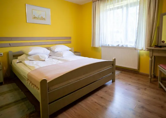 Pensiunea La Despani Guest house