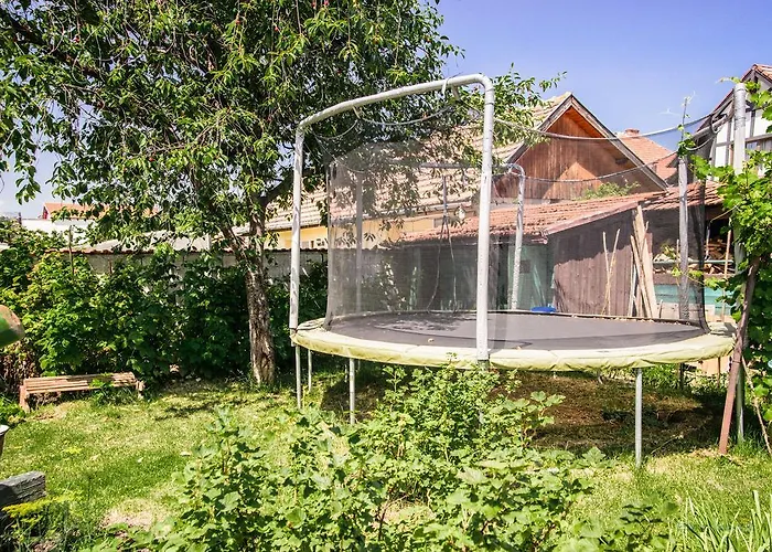 Pensiunea La Despani 3*