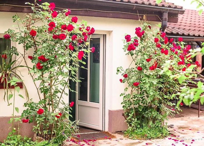 Pensiunea La Despani Guest house