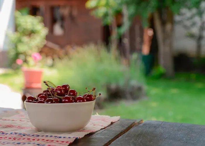 Gasthof Pensiunea La Despani