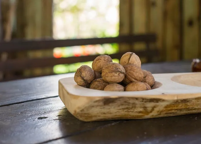 Pensiunea La Despani Brasov